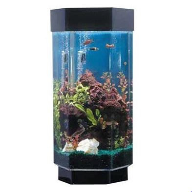 15-gallon-hexagonal-fish-tank